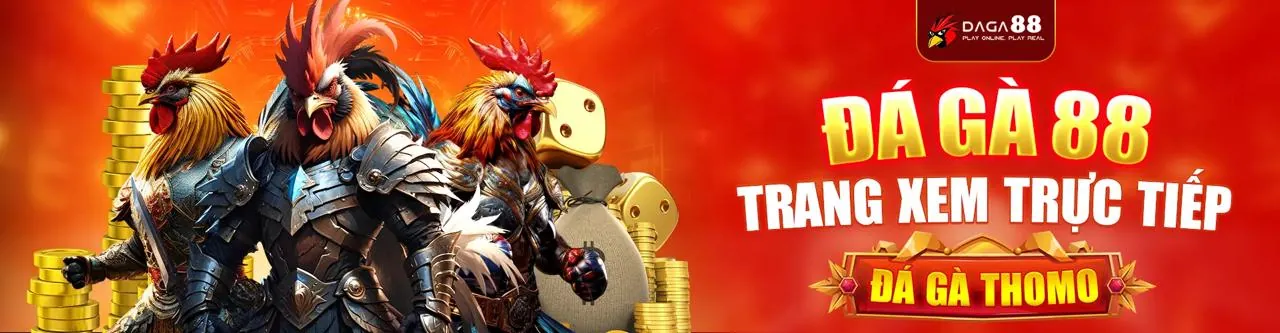 Trực tiếp các trận đá gà kịch tính trên sodo99